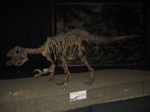 Dinosaurusi