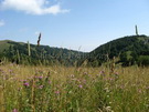 Mountain in Serbia - Kopaonik